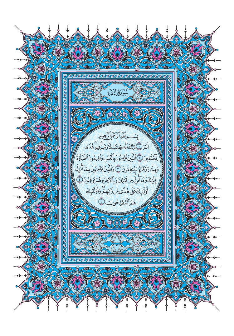 سورة البقرة - صفحة 2