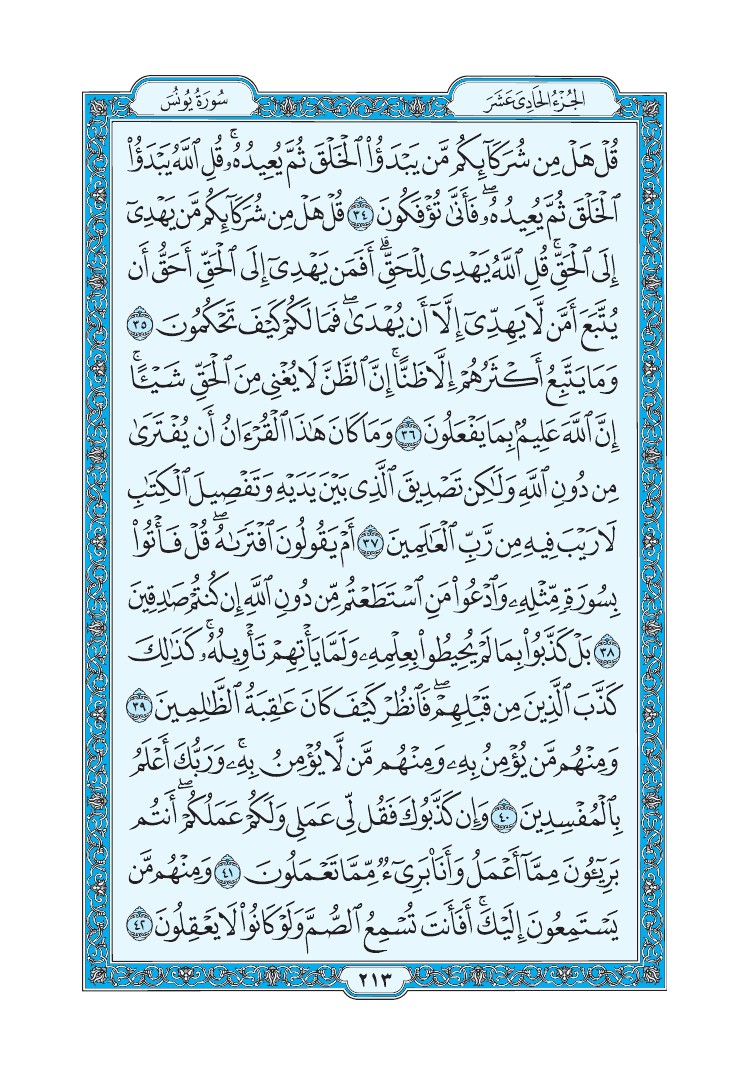 سورة يونس - صفحة 213