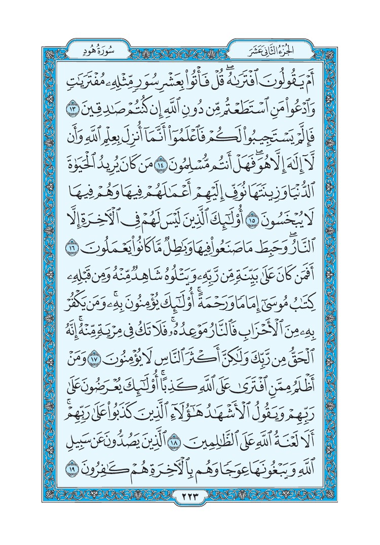 سورة هود - صفحة 223