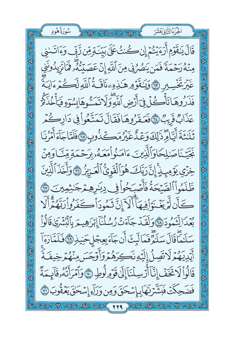 سورة هود - صفحة 229