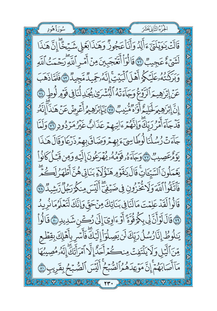 سورة هود - صفحة 230