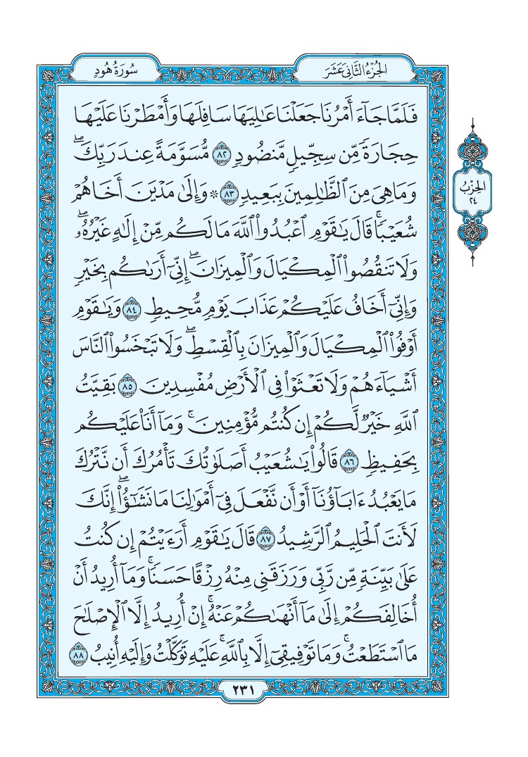 سورة هود - صفحة 231