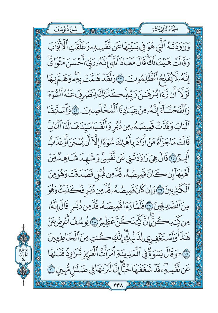 سورة يوسف - صفحة 238