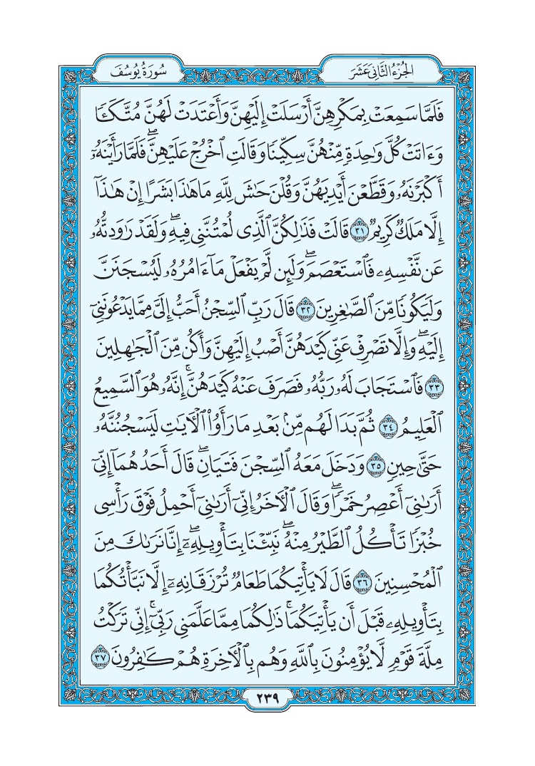 سورة يوسف - صفحة 239