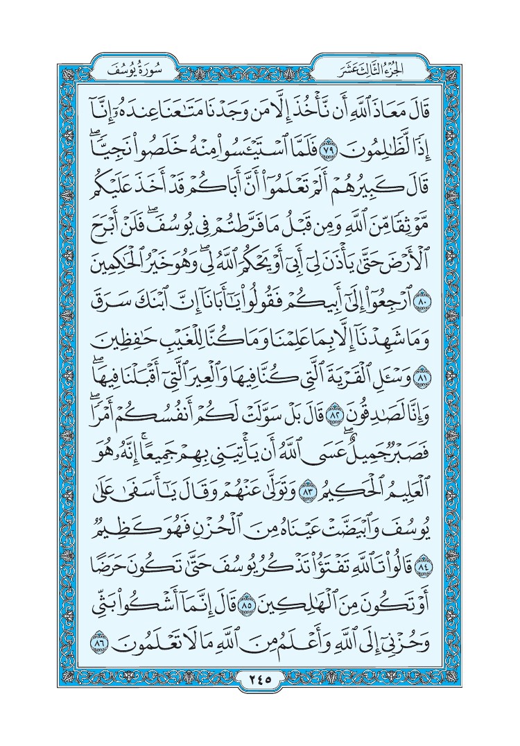 سورة يوسف - صفحة 245