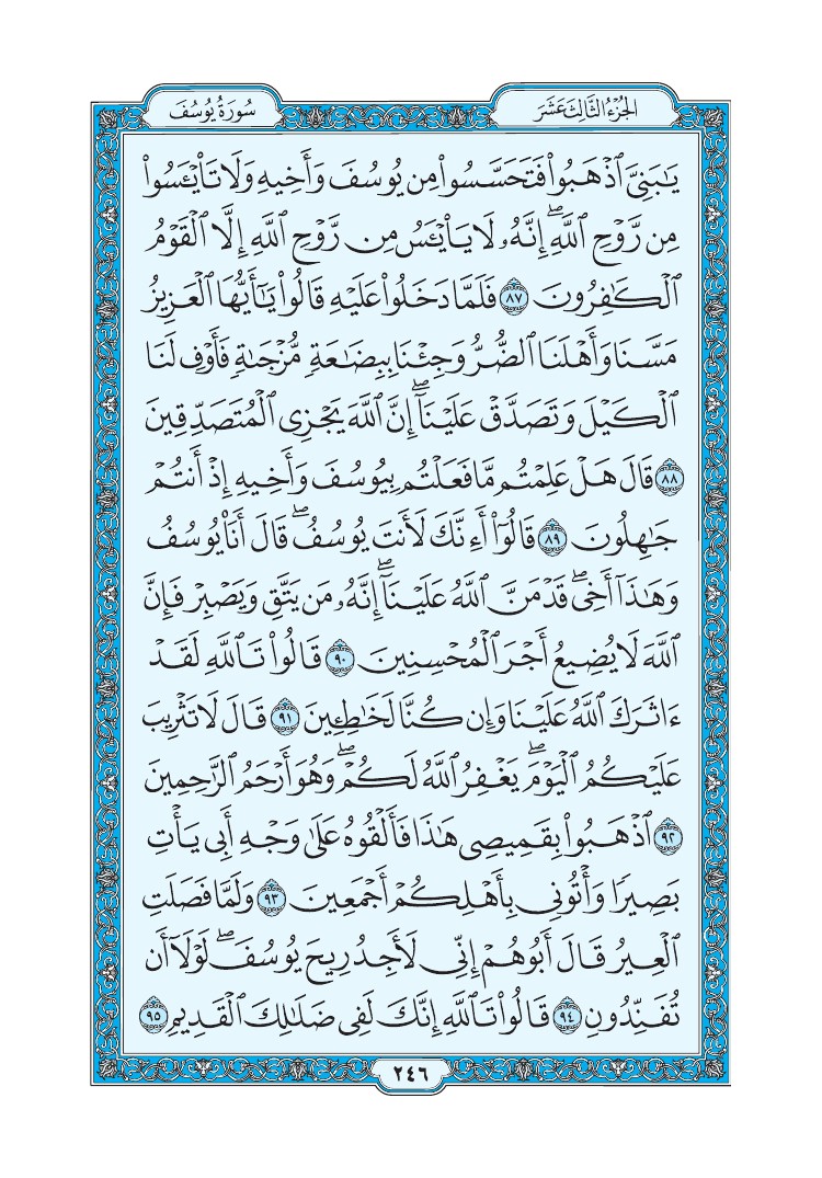 سورة يوسف - صفحة 246