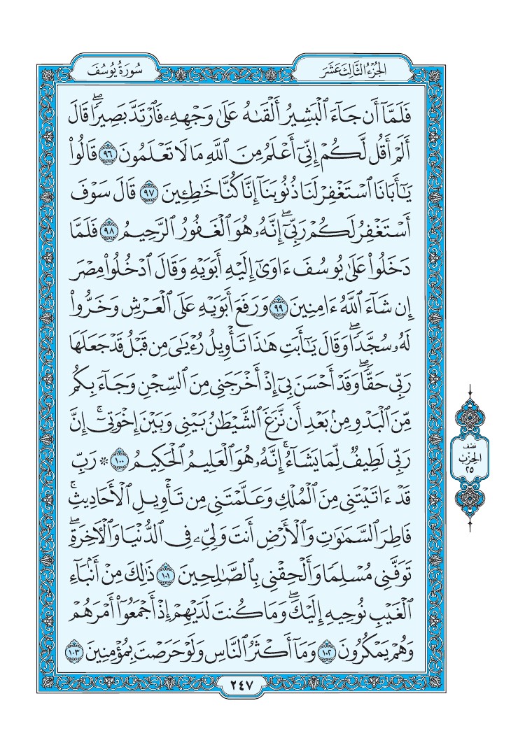 سورة يوسف - صفحة 247