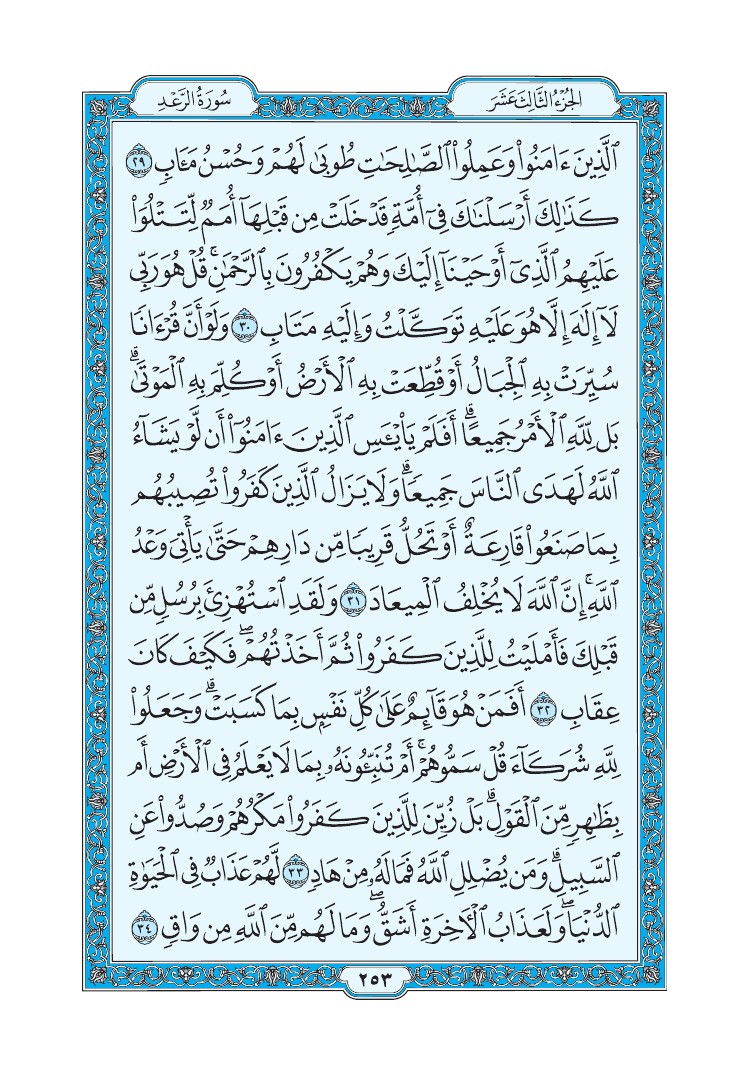 سورة الرعد - صفحة 253