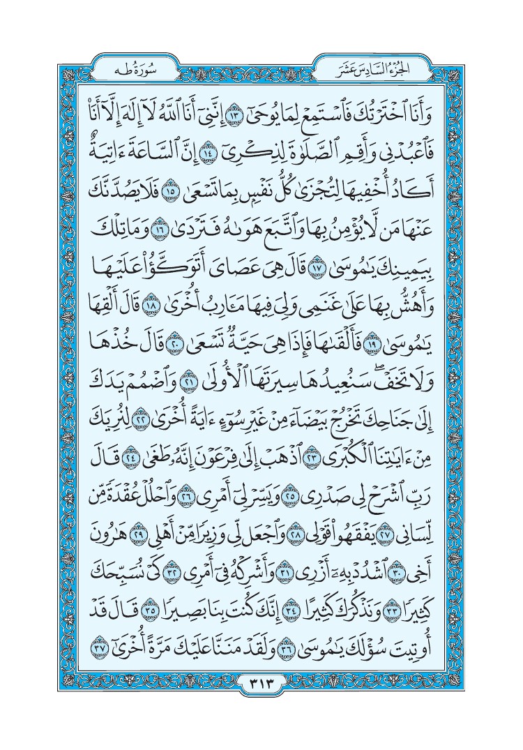 سورة طه - صفحة 313