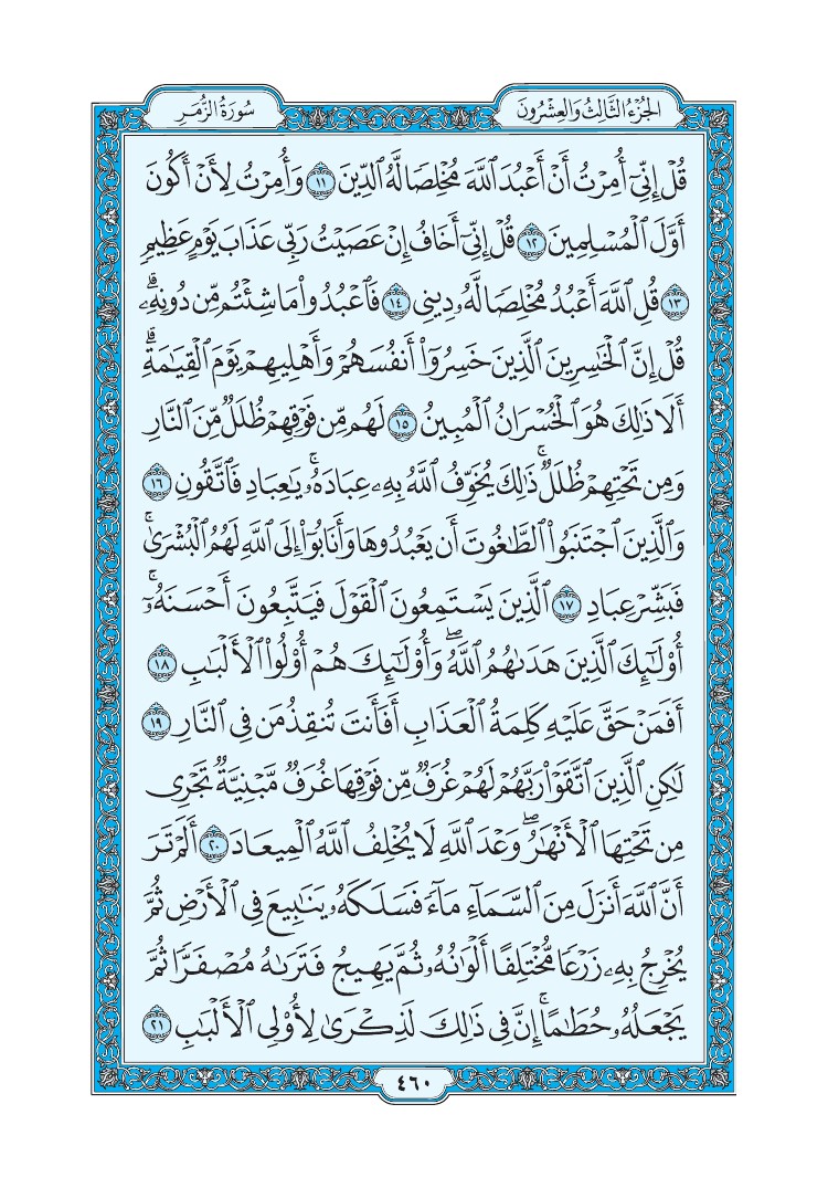 سورة الزمر - صفحة 460
