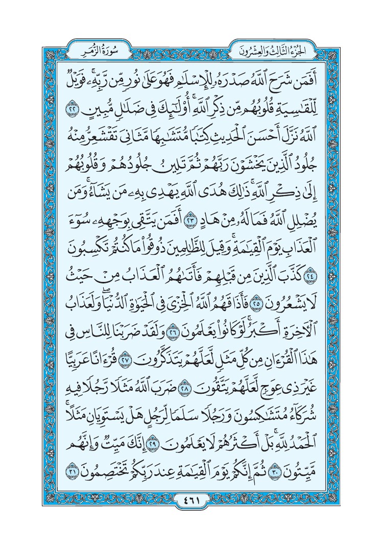 سورة الزمر - صفحة 461