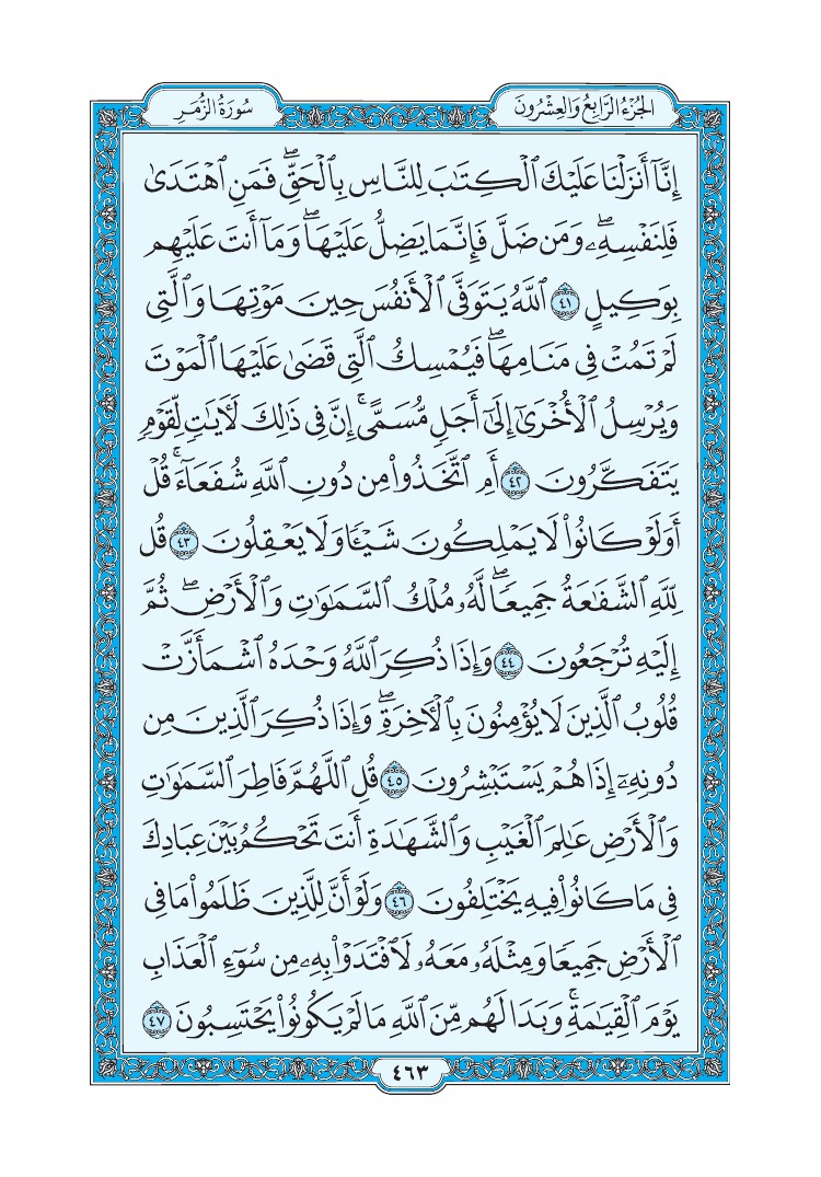 سورة الزمر - صفحة 463