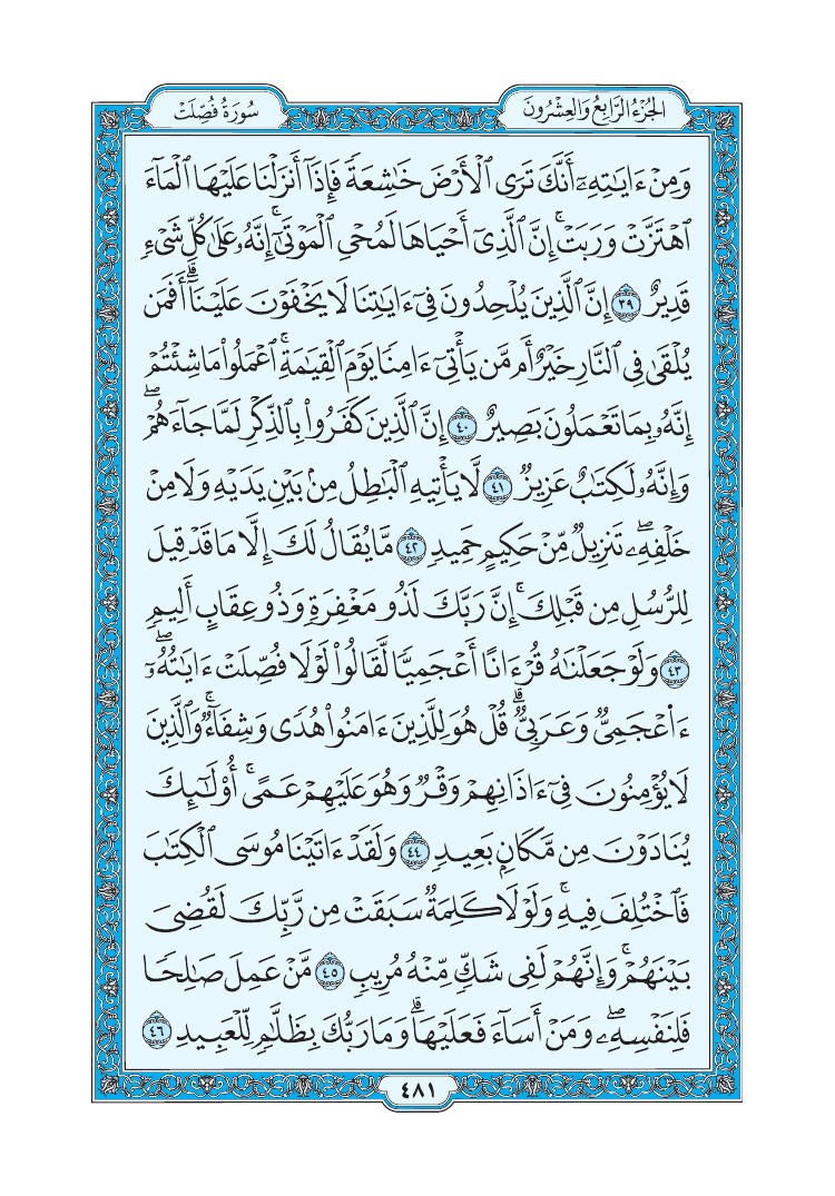 سورة فصلت - صفحة 481