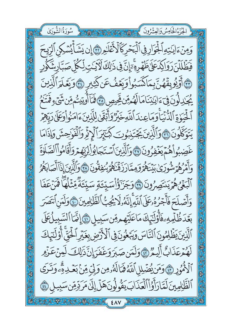 سورة الشورى - صفحة 487