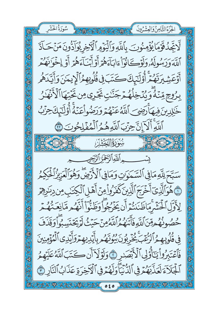 سورة الحشر - صفحة 545