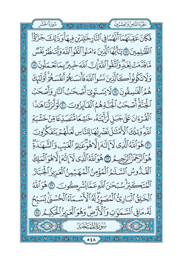 سورة الحشر - صفحة 548