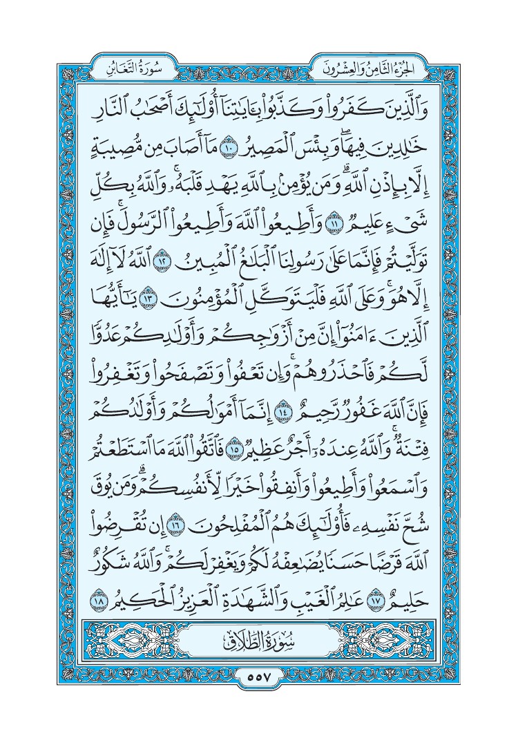 سورة التغابن - صفحة 557
