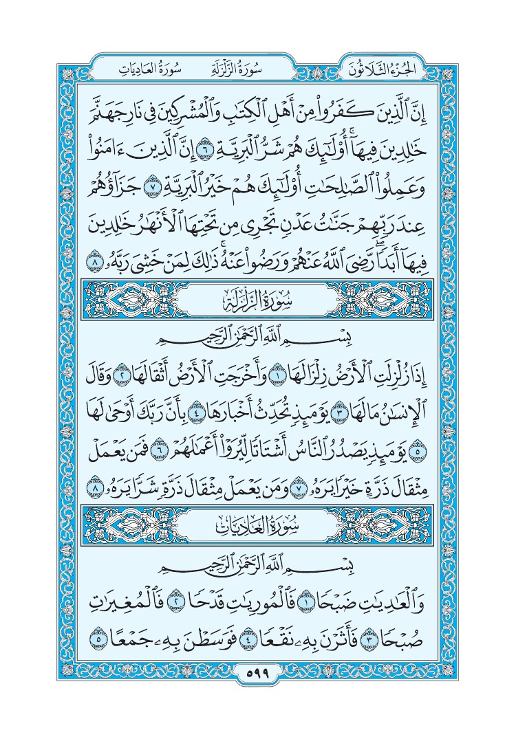 سورة الزلزلة - صفحة 599