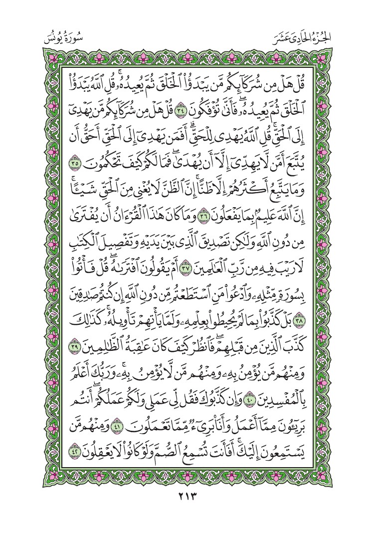 سورة يونس - صفحة 213