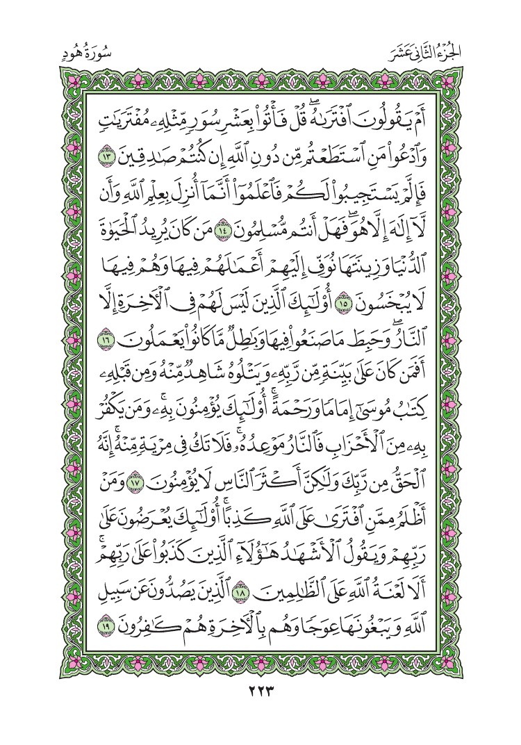 سورة هود - صفحة 223