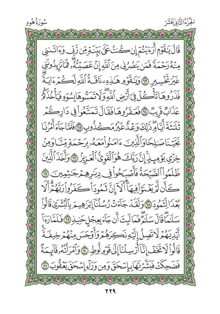سورة هود - صفحة 229