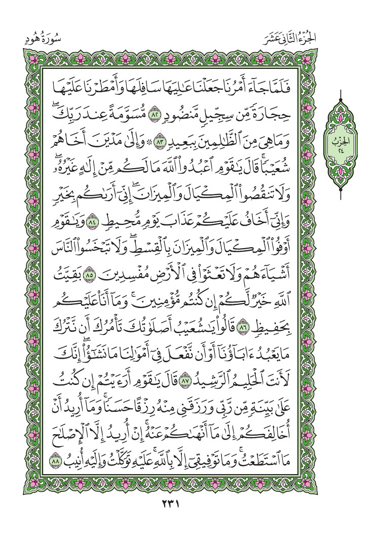 سورة هود - صفحة 231