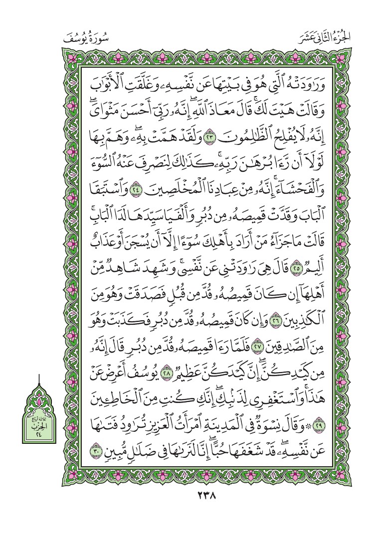 سورة يوسف - صفحة 238