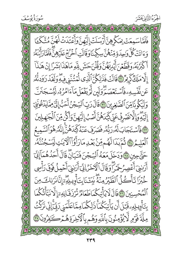 سورة يوسف - صفحة 239