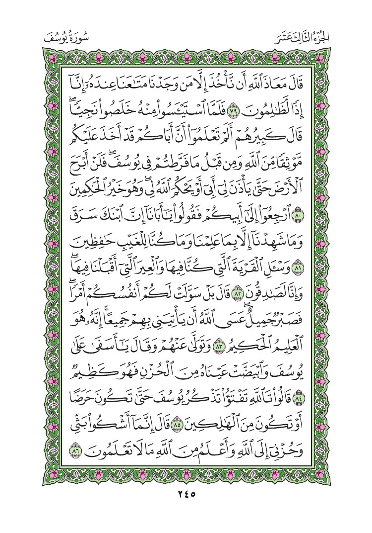 سورة يوسف - صفحة 245