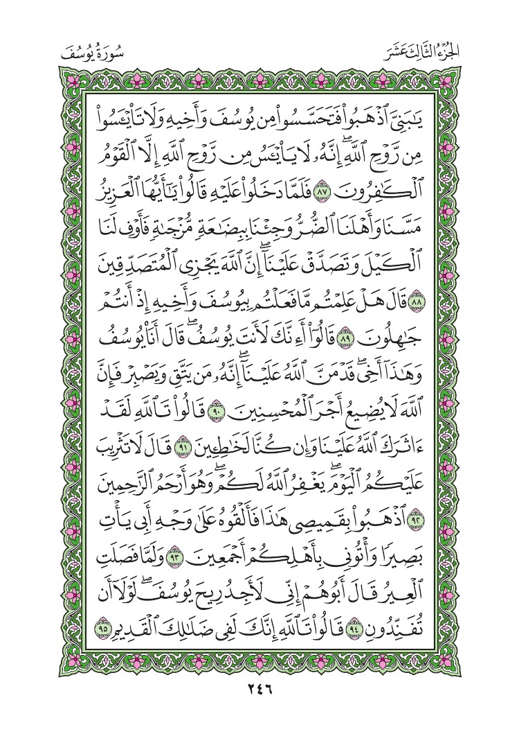 سورة يوسف - صفحة 246