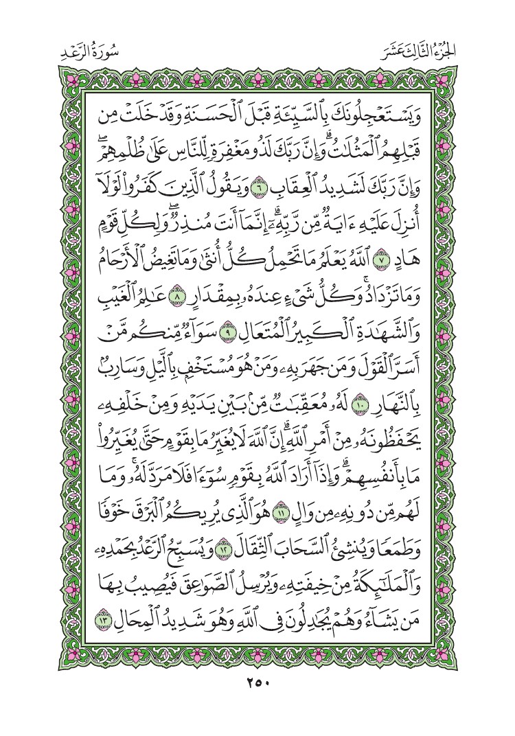 سورة الرعد - صفحة 250