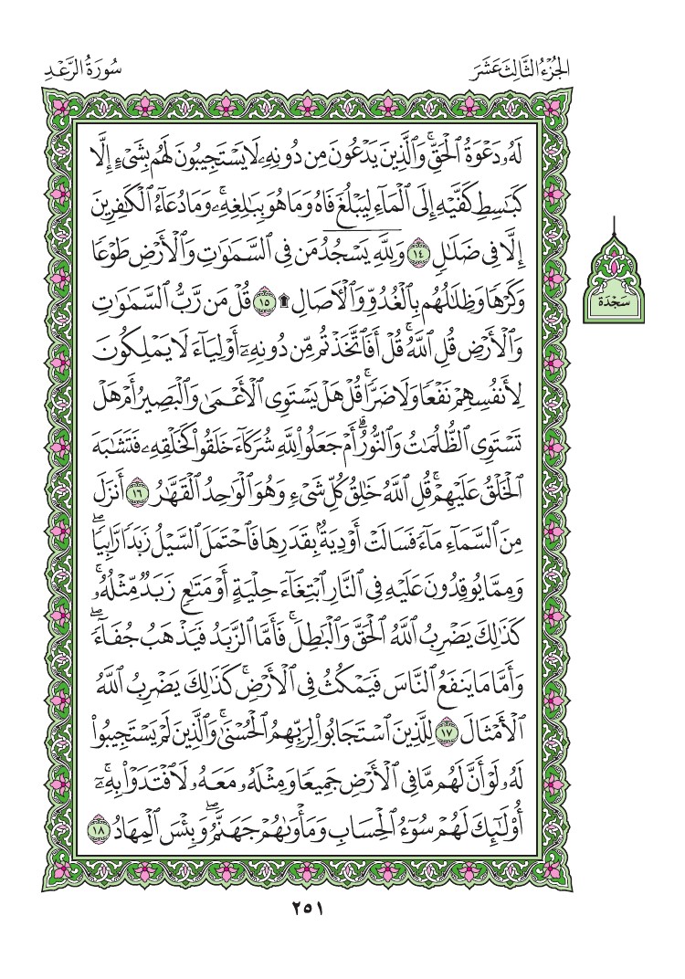 سورة الرعد - صفحة 251