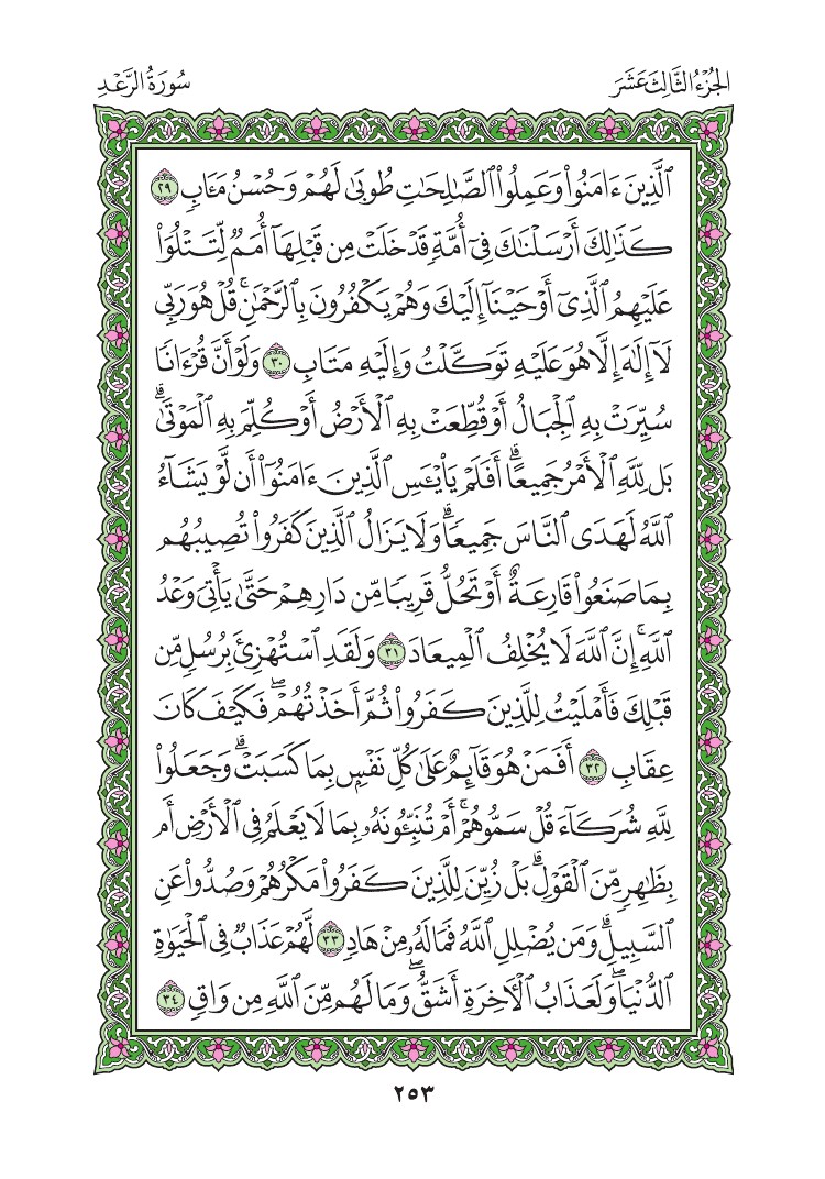 سورة الرعد - صفحة 253