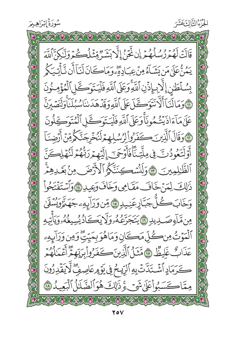 سورة إبراهيم - صفحة 257