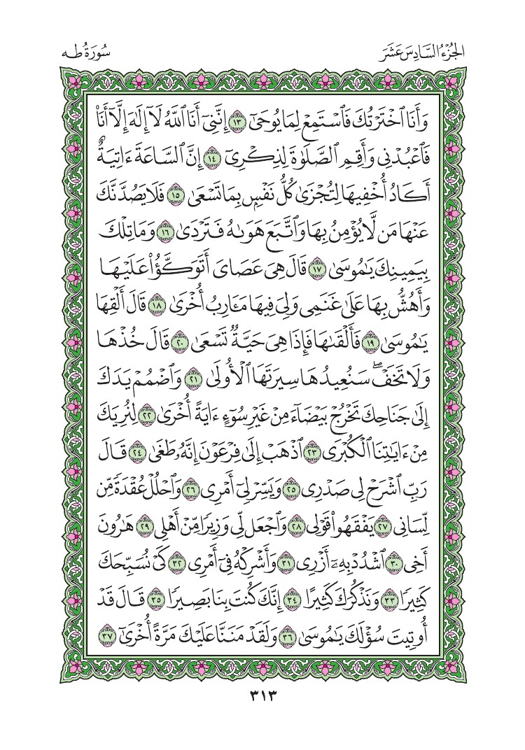 سورة طه - صفحة 313