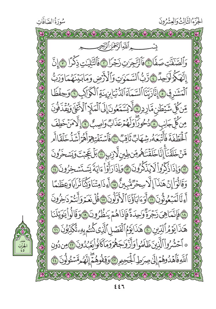 سورة الصافات - صفحة 446