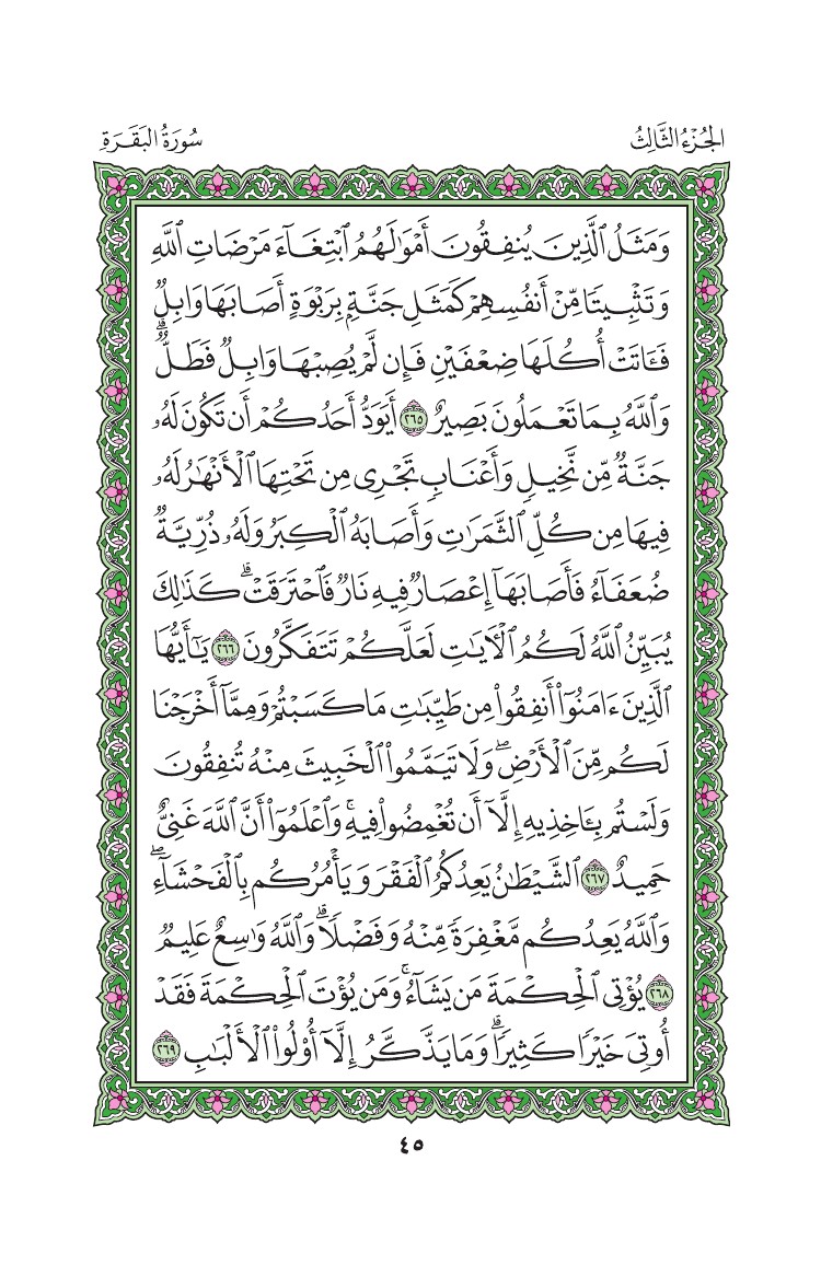 سورة البقرة - صفحة 45