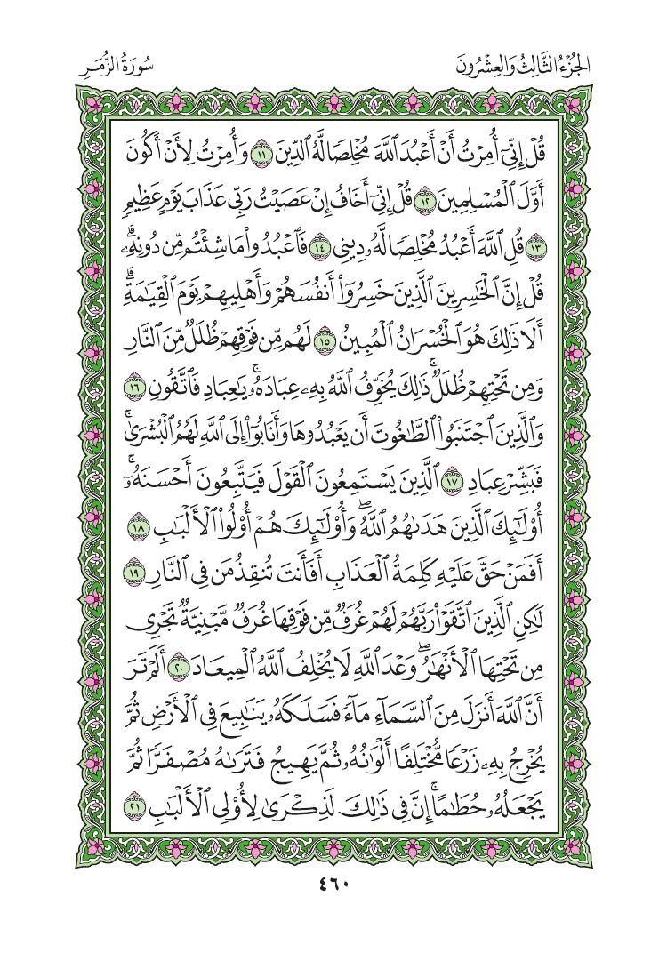 سورة الزمر - صفحة 460