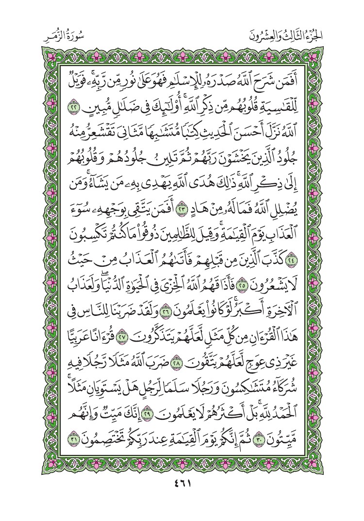 سورة الزمر - صفحة 461