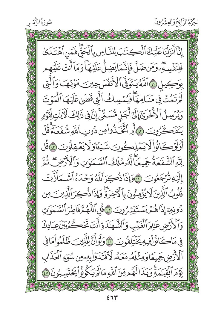 سورة الزمر - صفحة 463