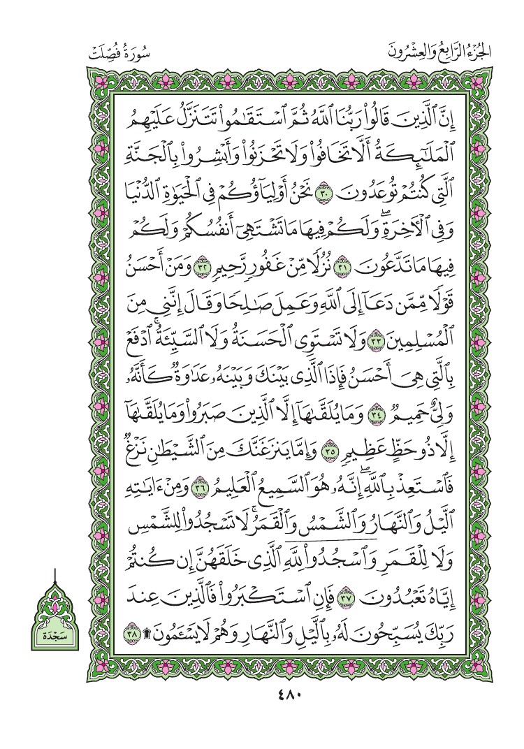 سورة فصلت - صفحة 480