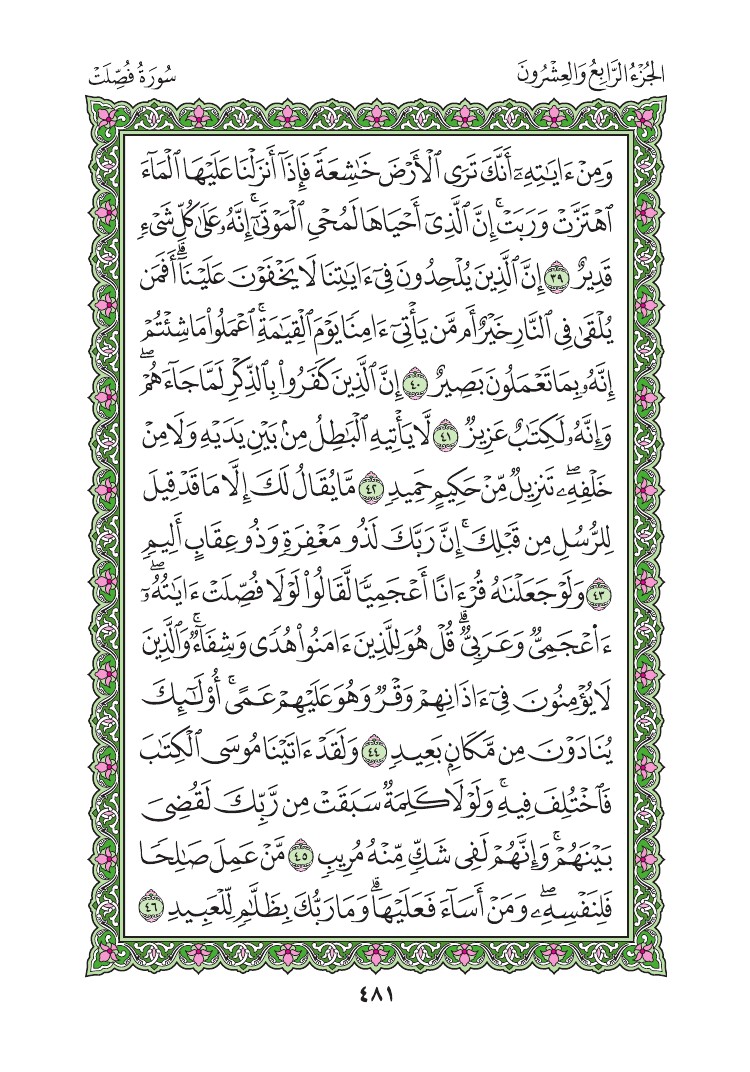 سورة فصلت - صفحة 481