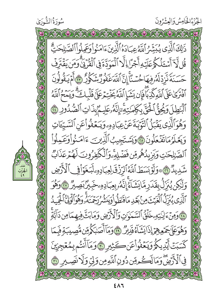 سورة الشورى - صفحة 486