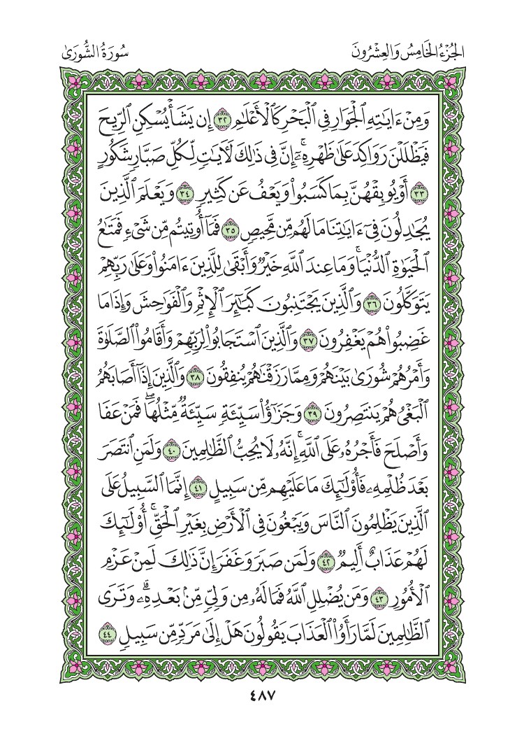 سورة الشورى - صفحة 487
