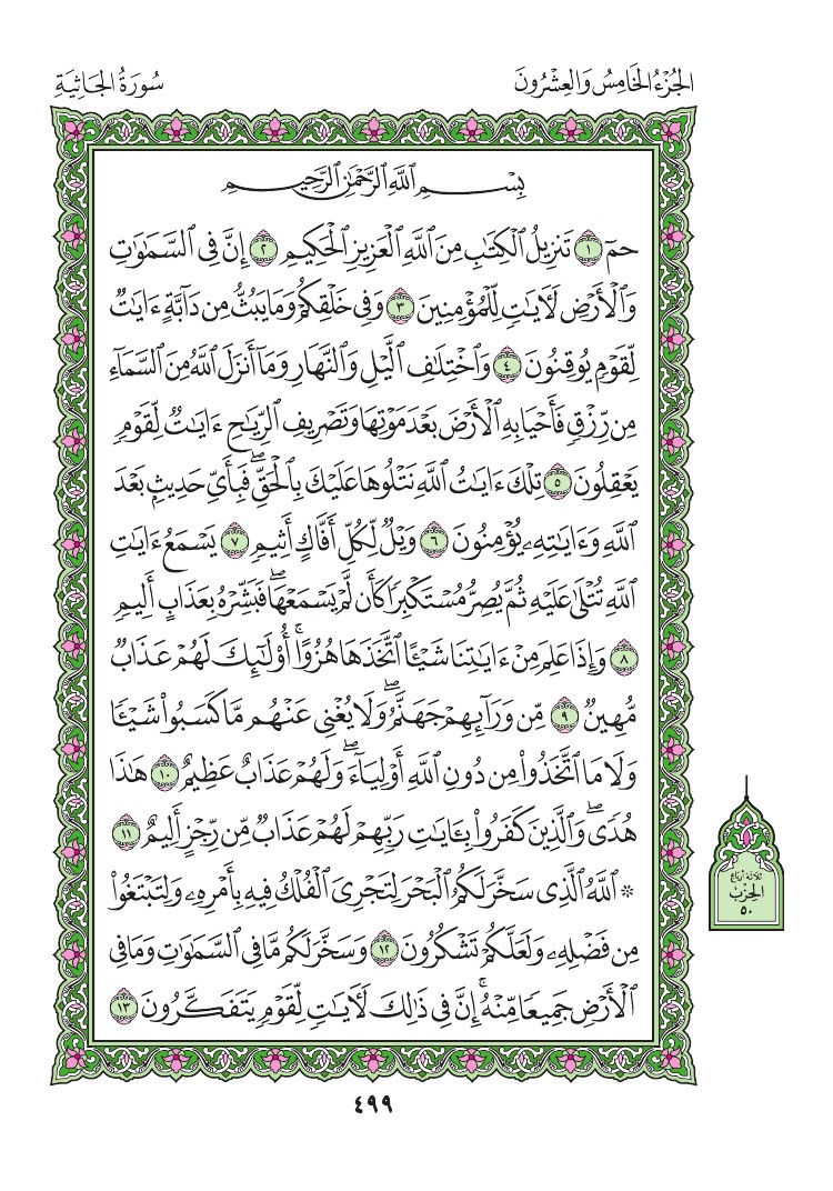 سورة الجاثية - صفحة 499
