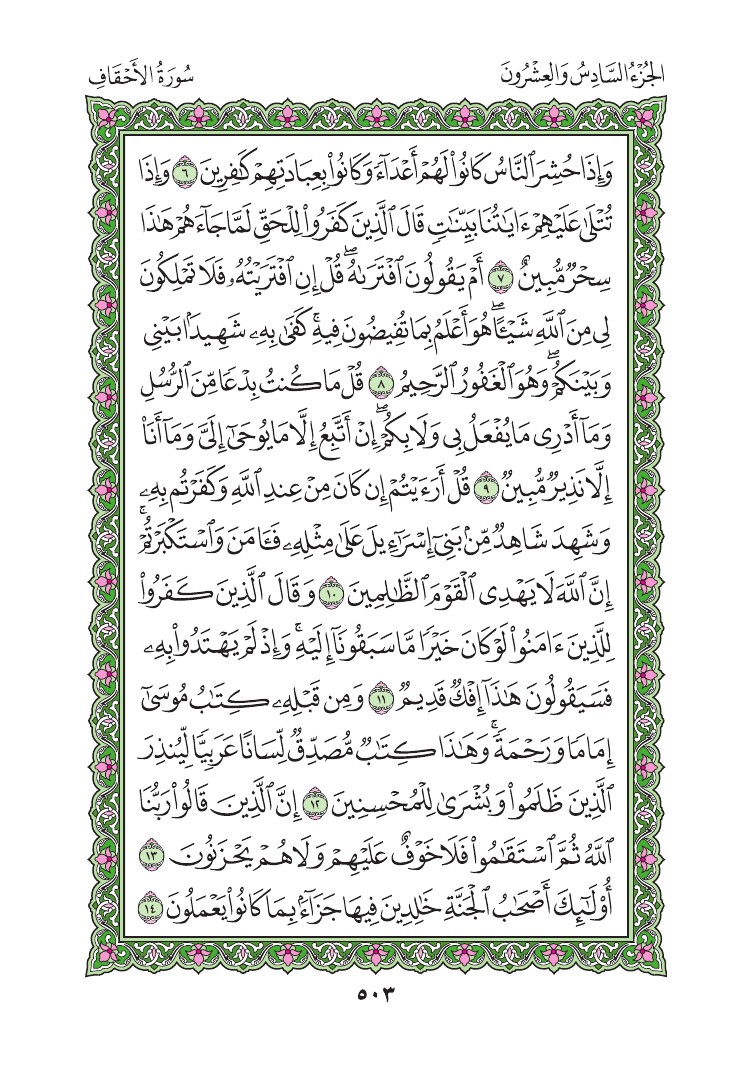 سورة الأحقاف - صفحة 503