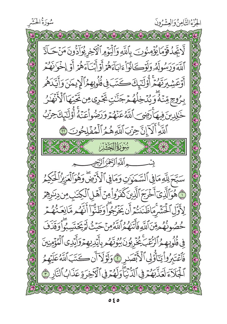 سورة الحشر - صفحة 545