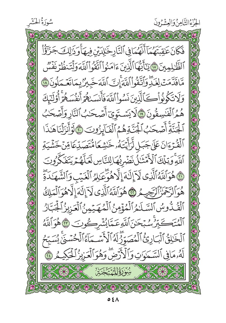 سورة الحشر - صفحة 548
