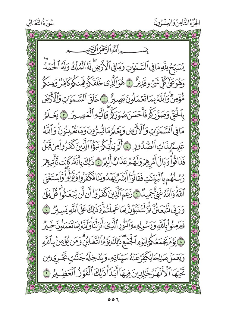 سورة التغابن - صفحة 556