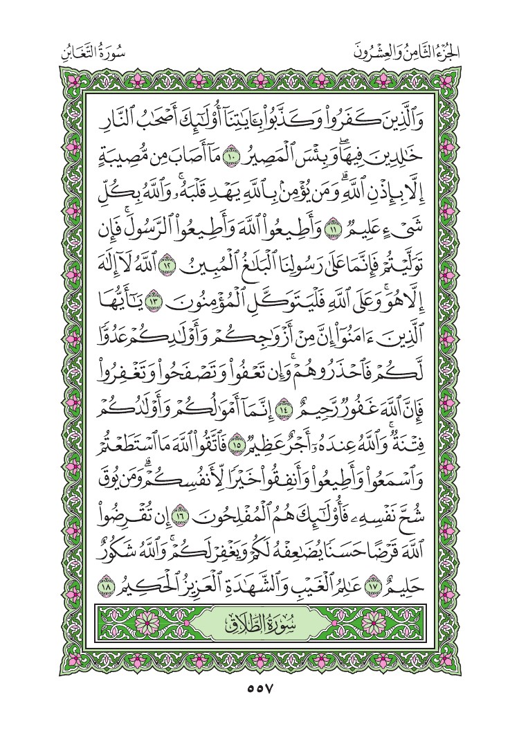 سورة التغابن - صفحة 557